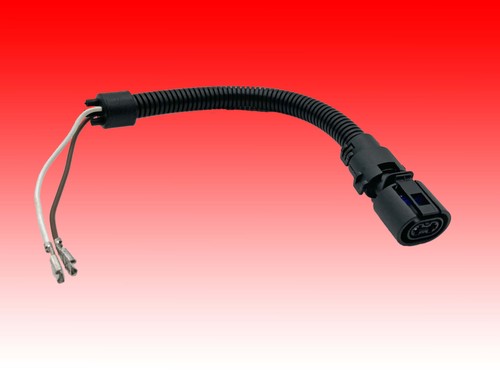 Stecker polig passend für - stecker,